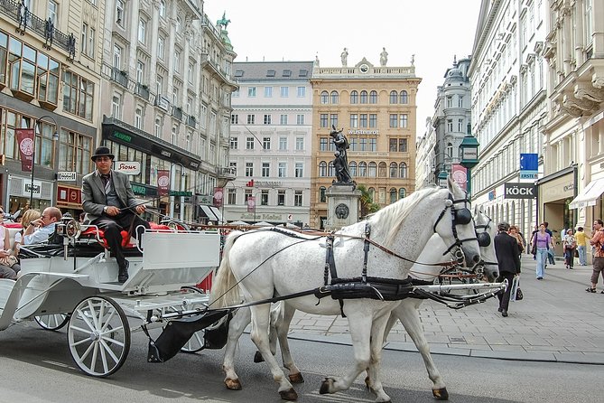 Private Vienna City Tour with Schonbrunn Palace Visit - Key things to know before you go