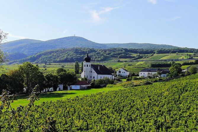 Private Vienna Woods Wine Tour - Vienna Woods wine country, minus the stress