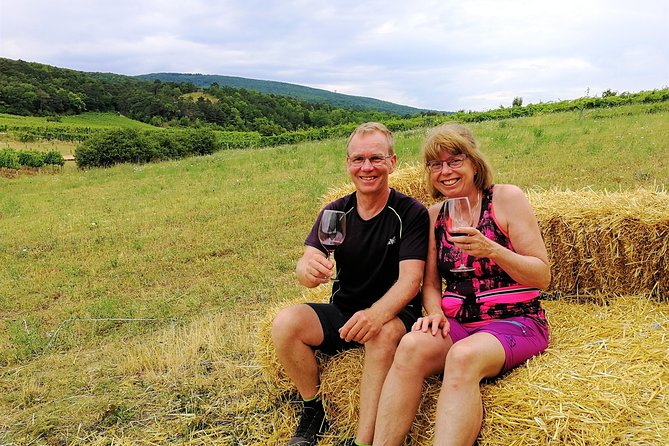 Private Vienna Woods Wine Tour - Winter thermal-region wine tradition, plus sekt and monastic stories