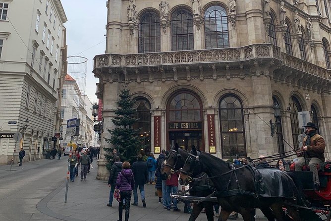 Private World War II Walking Tour in Vienna - Why the guide makes or breaks this tour
