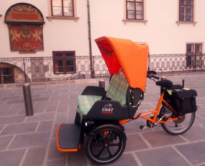 RAXI (Electric Rickshaw) Vienna Tours with two options - The ride comfort details that actually matter