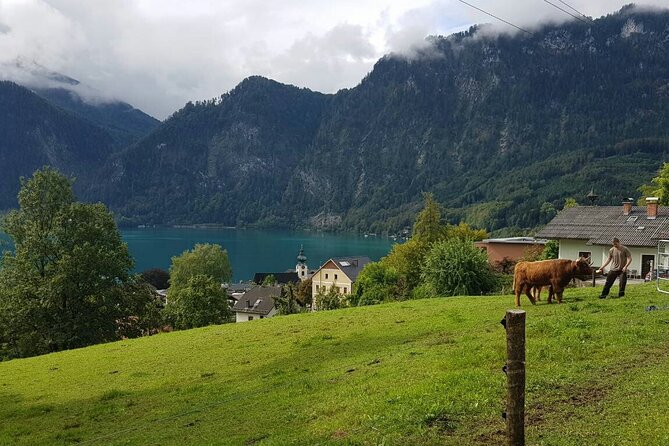 Salzburg: Small-Group Day Trip from Vienna - The Ride Back: Staying Sane on a 12-Hour Loop