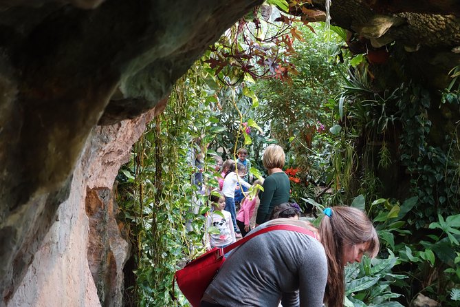Schmetterlinghaus - Imperial Butterfly House Vienna Admission Ticket - Butterfly Spotting That Feels Close, Waterfalls That Add Mood