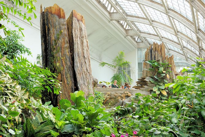 Schmetterlinghaus - Imperial Butterfly House Vienna Admission Ticket - Ticket Value: What Your 15 to 59 Minutes Usually Turns Into