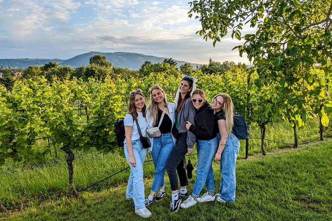 Small-group Vienna Wine Tour - Vineyard Walking Time: Getting Out of the City Mood
