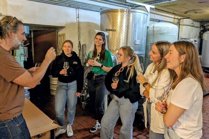 Small-group Vienna Wine Tour - The Wine Tasting: Intimate, Structured, and Made for Questions
