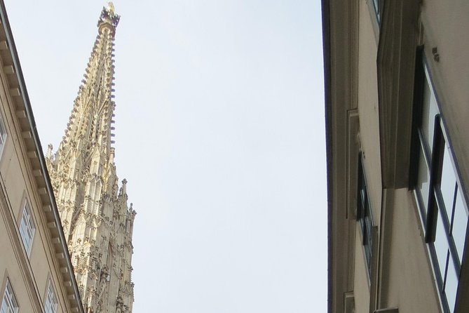 St. Stephen's cathedral - old symbol newly discovered - Key highlights