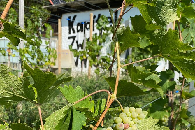 Taste and Tour Small Organic Wineries with a Winemaker - Key things I’d circle on your planning list