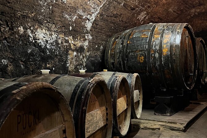 Taste and Tour Small Organic Wineries with a Winemaker - Stop 3: Weingut Feldtheorie in Schoenberg am Kamp, science meets Kamptal