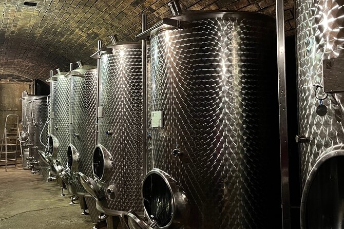 Taste and Tour Small Organic Wineries with a Winemaker - Stop 4: WeinSchach in Langenlois, Pet Nat experiments with biological methods
