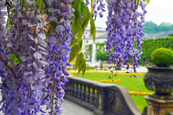 Transfer from Vienna to Salzburg with 2 hours for sightseeing - Private Vienna to Salzburg Comfort With a Built-In Sightseeing Break