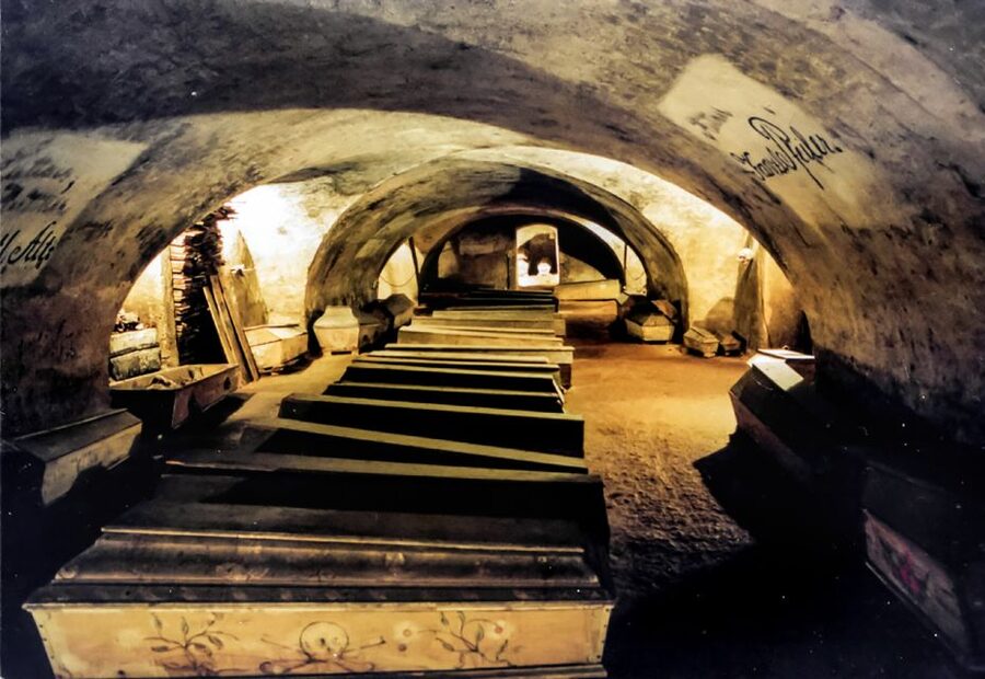 Vienna: 1.5-Hour Underground Walking Tour - Key highlights you should know