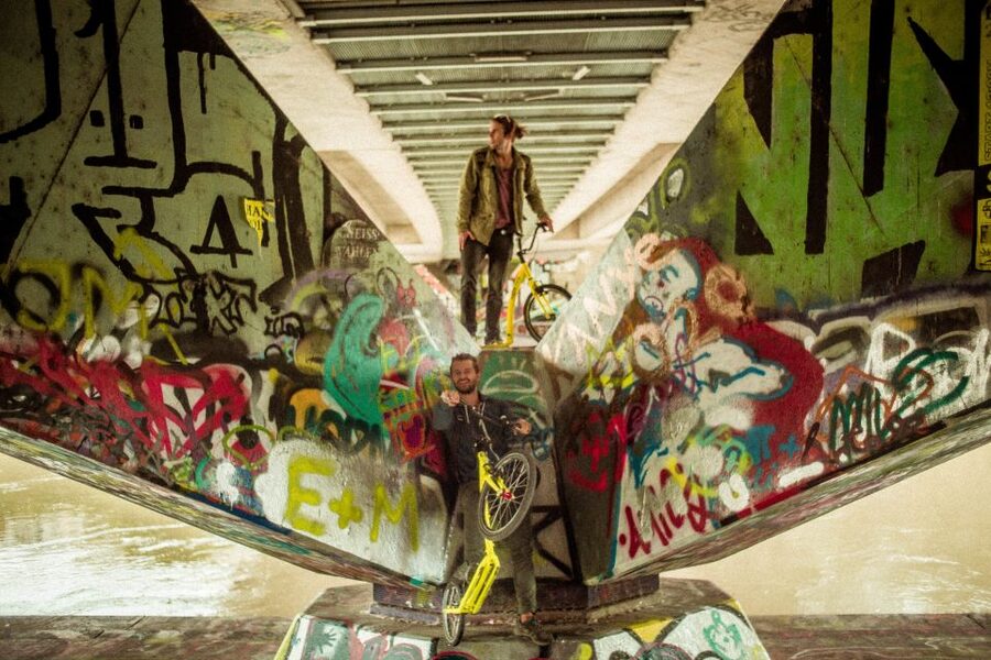 Vienna: 2-Hour Street Art Tour - What You’ll Actually See, From ROA to Blu to Shepard Fairey