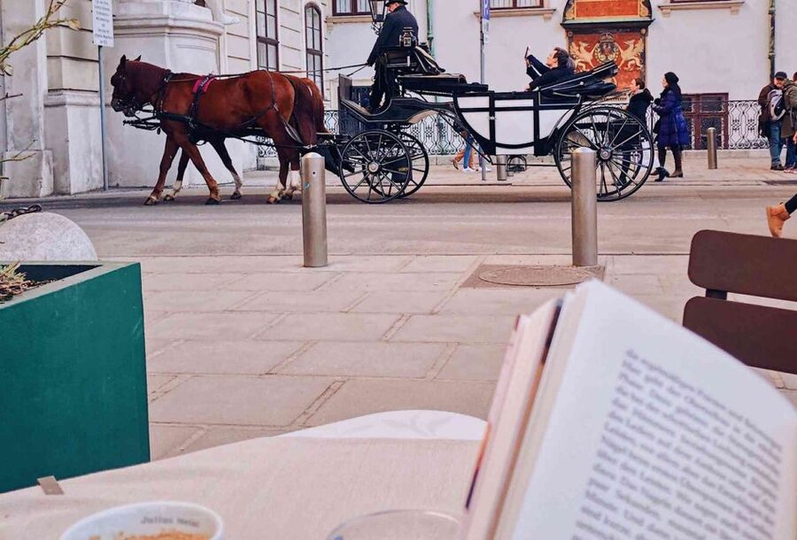 Vienna: 30-Minute Fiaker Ride in the Old Town - A 30-minute Fiaker loop that makes Vienna make sense fast