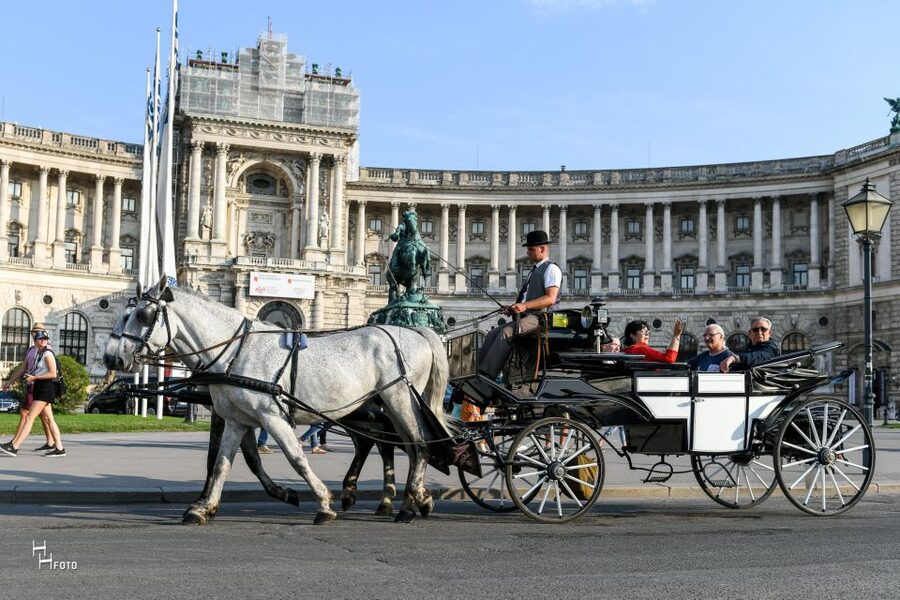 Vienna: 30-Minute Fiaker Ride in the Old Town - From St. Stephen’s to the Hofburg: the imperial stretch you can feel