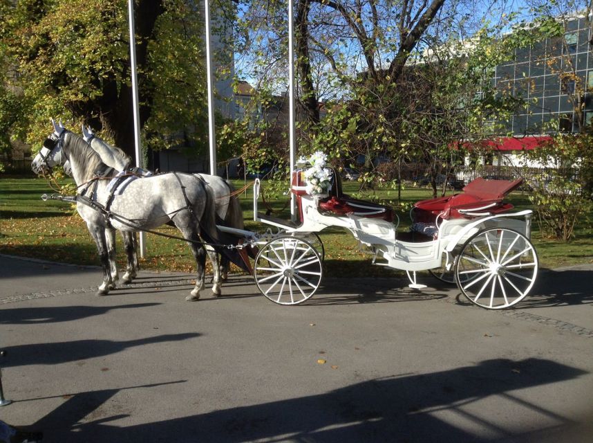 Vienna: 30-Minute Fiaker Ride in the Old Town - When to go and how to hear the guide from the carriage