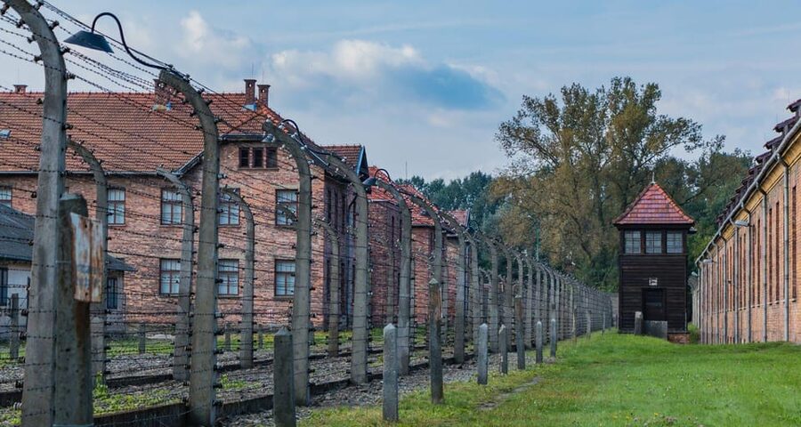 Vienna: Auschwitz Birkenau Full-Day Tour w/ Hotel Transfers - Skip-the-Line Entry and Private Group Format: The Value You’re Paying For