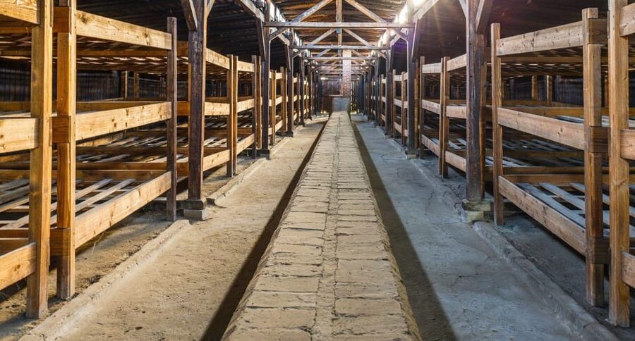 Vienna: Auschwitz Birkenau Full-Day Tour w/ Hotel Transfers - Who This Tour Fits Best (And Who Should Rethink It)