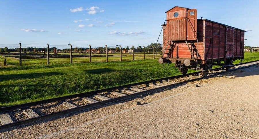 Vienna: Auschwitz Birkenau Full-Day Tour w/ Hotel Transfers - Hotel Pickup, Air-Conditioned Transport, and The Real Start Time