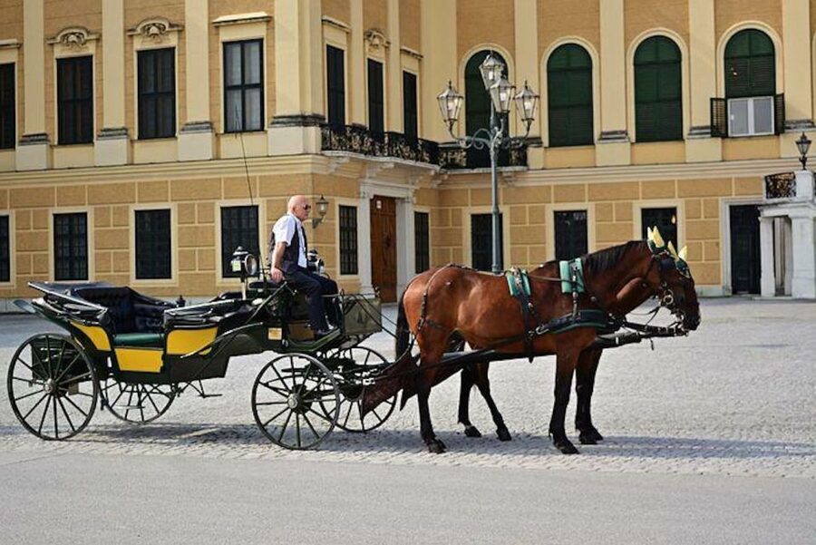Vienna: Carriage Ride Through Schönbrunn Palace Gardens - Meeting in front of Schönbrunn Palace, then settling into the ride