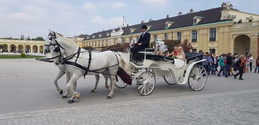 Vienna: Carriage Ride Through Schönbrunn Palace Gardens - Private group comfort and photo-friendly pacing