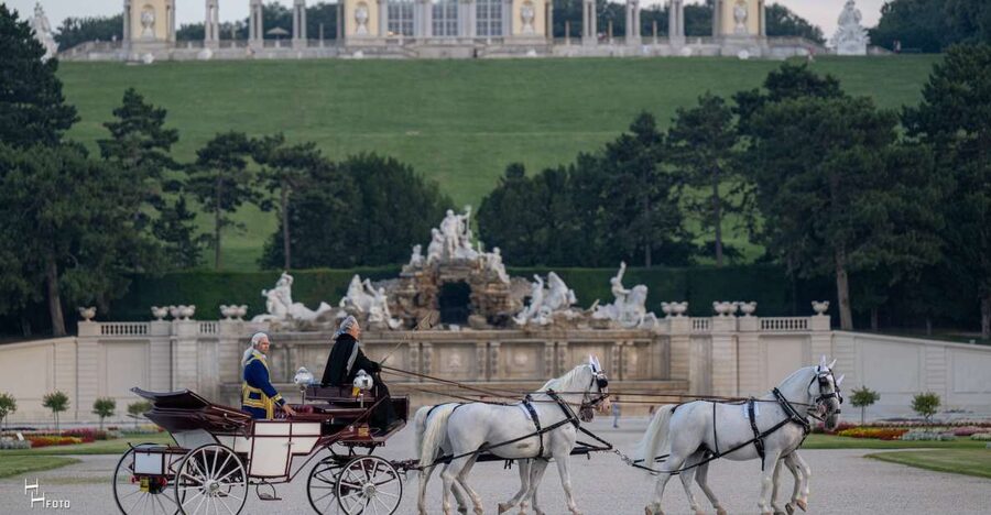 Vienna: Carriage Ride Through Schönbrunn Palace Gardens - Price and value for a private 30-minute carriage ride