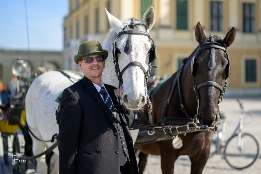 Vienna: Carriage Ride Through Schönbrunn Palace Gardens - Who should book this Schönbrunn Fiaker carriage ride?