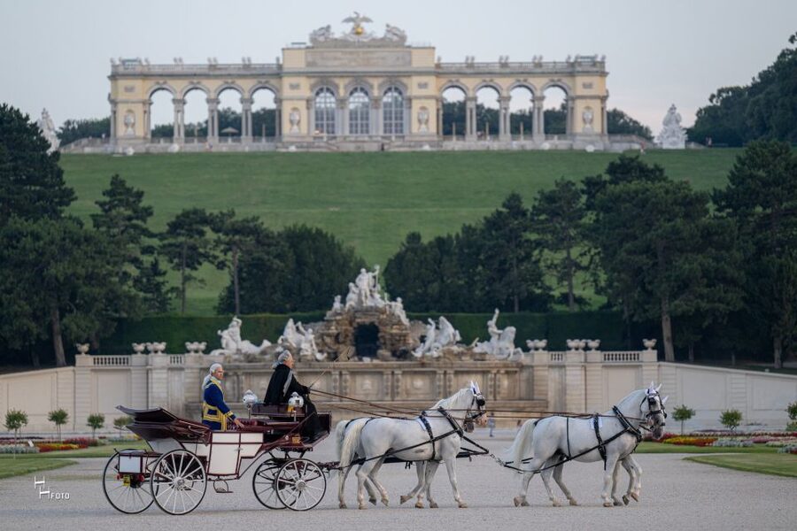 Vienna: Carriage Ride Through Schönbrunn Palace Gardens - FAQ