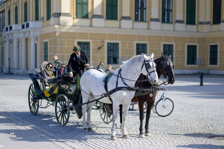 Vienna: Carriage Ride Through Schönbrunn Palace Gardens - Fiaker storytelling: Vienna’s past told at a slow, practical pace