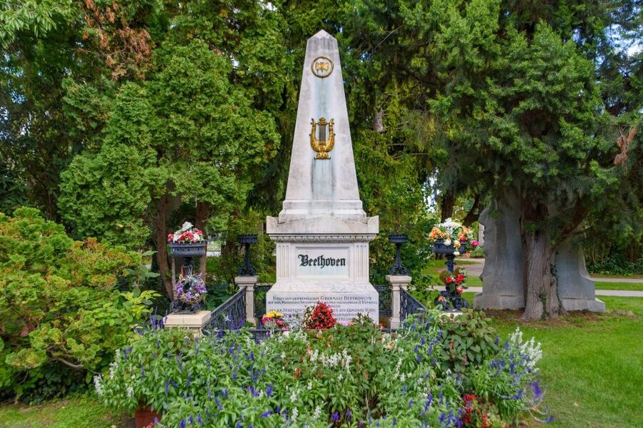 Vienna Central Cemetery Walking Tour with Transfers - Who should book this tour?