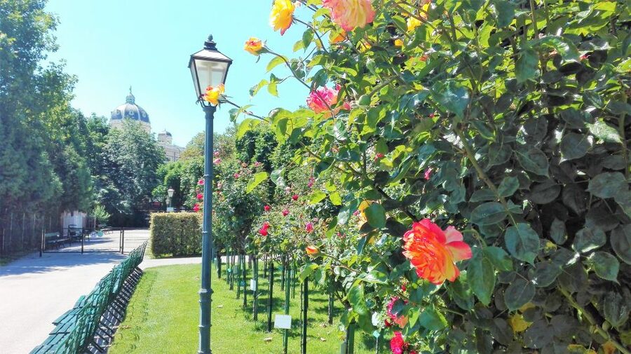 Vienna: City Highlights Guided Walking Tour & Old Town - A 2-Hour Old Town Walk That Actually Helps You Read Vienna