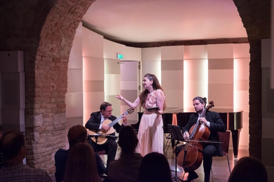 Vienna: Classical Concert at Mozarthaus with Museum Entry - Who this is best for in Vienna
