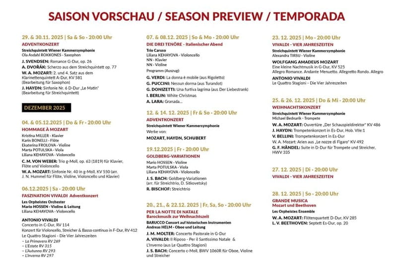 Vienna: Classical Concerts in the Minorite Church Ticket - The Venue: Minoritenkirche as a Listening Instrument
