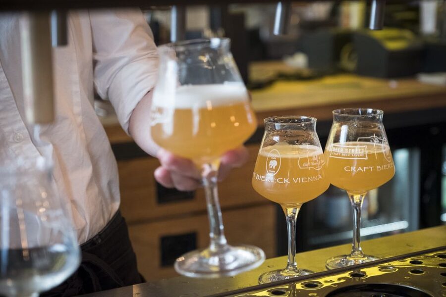 Vienna: Craft Beer Tasting Experience with Local Snacks - How You Learn to Taste Beer (Not Just Sip It)