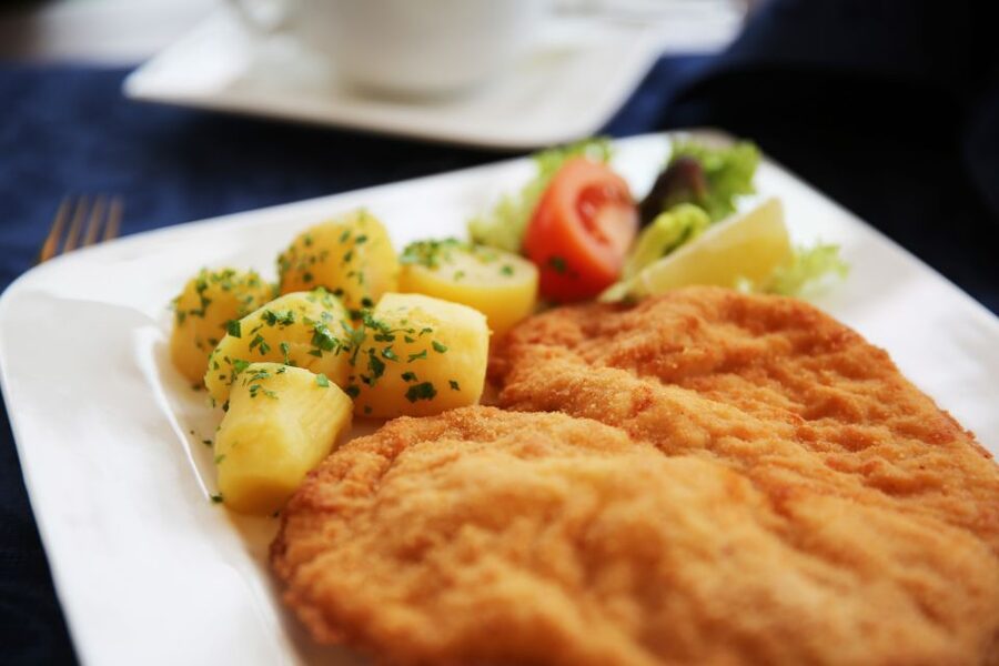 Vienna: Cruise and Schnitzel Tour - Comfort, Atmosphere, and the Staff