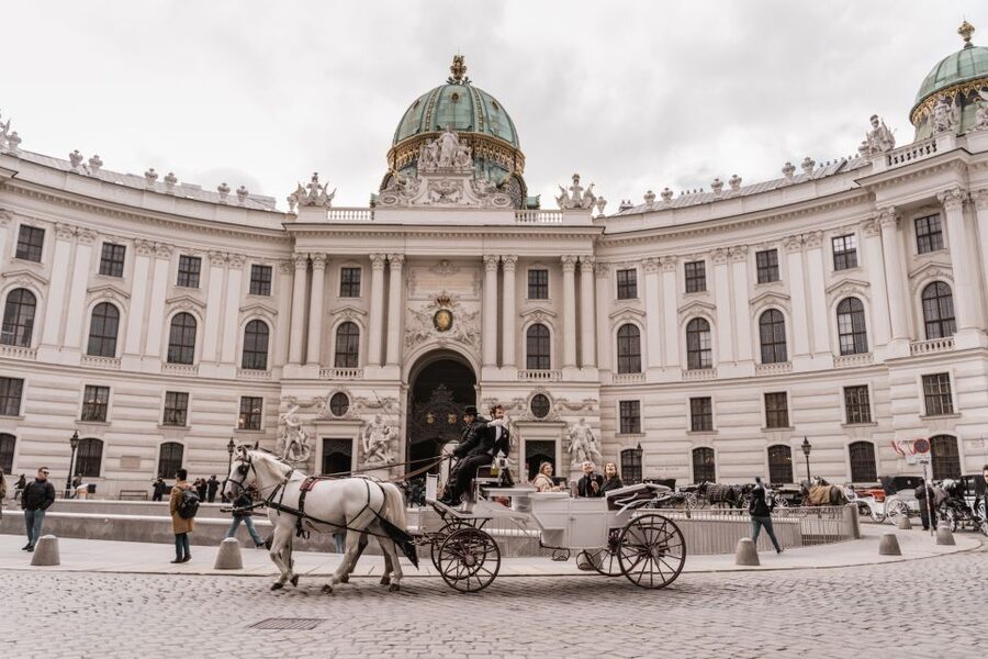 Vienna: Culinary Horse-Drawn Carriage Experience - What you eat and drink, and why it works on a moving tour