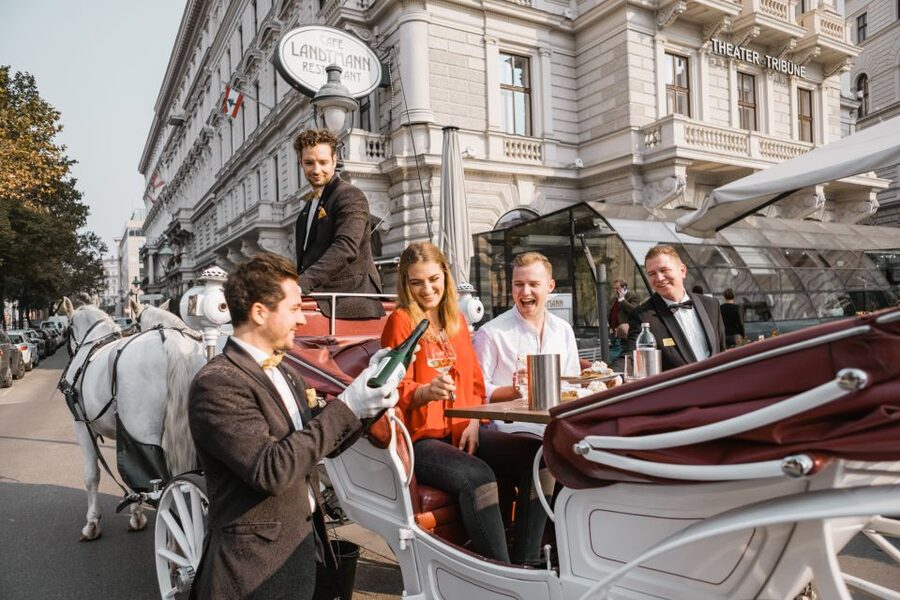 Vienna: Culinary Horse-Drawn Carriage Experience - The story part: who talks, and what you should expect