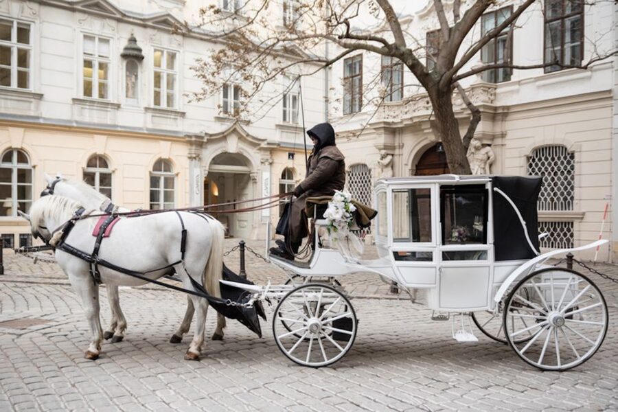 Vienna: Culinary Horse-Drawn Carriage Experience - The schedule feel: 40 minutes to 1 hour, and how to pick your option