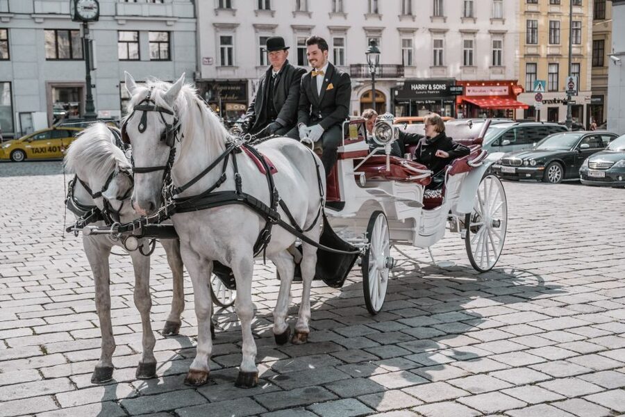 Vienna: Culinary Horse-Drawn Carriage Experience - Price and value: what $229 for up to four buys you
