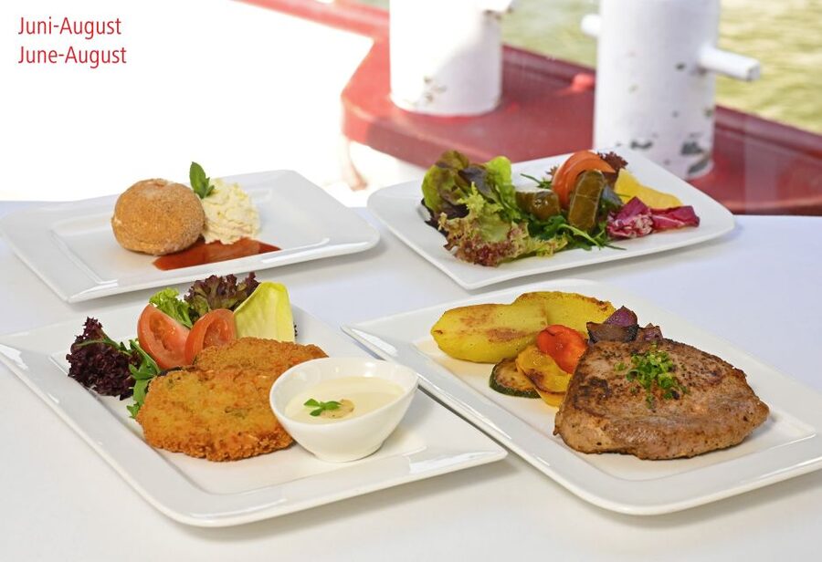 Vienna: Danube River Cruise w/ optional Viennese Specialties - Modern Vienna from the Danube plateau: towers you can spot quickly
