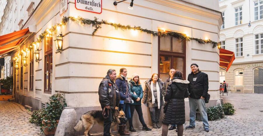 Vienna: Educational Walk Exploring Homelessness - Walking Vienna’s contrast, seeing the issue in public space