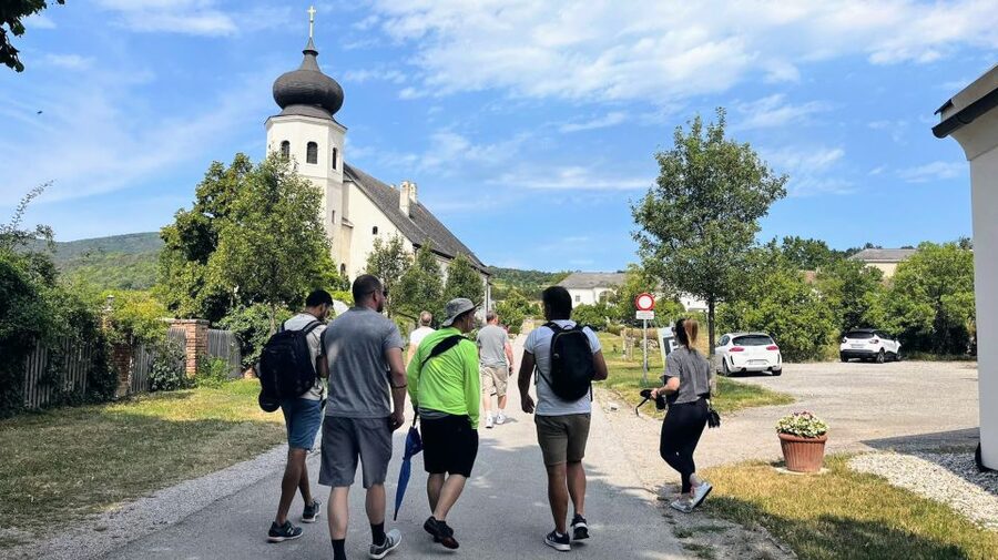 Vienna: Full-Day Vienna Woods Wine Tasting Tour - Summer in Baden: forest trails, Beethoven’s old spa town, and 360-degree views