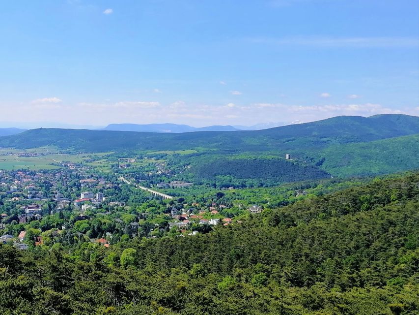 Vienna: Full-Day Vienna Woods Wine Tasting Tour - Price and value at $187, what you’re really paying for