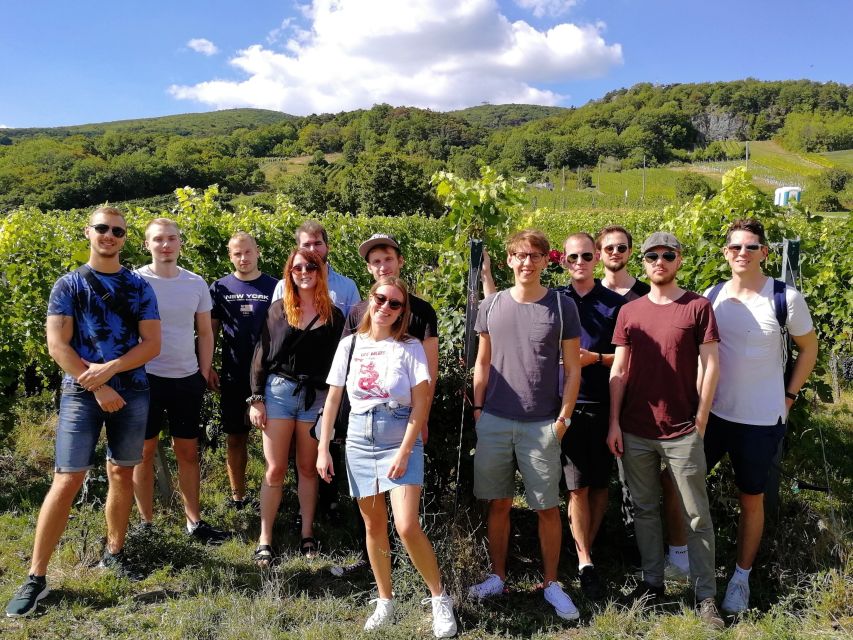 Vienna: Full-Day Vienna Woods Wine Tasting Tour - Pace, comfort, and who this tour fits best