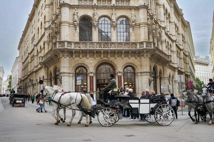 Vienna: Guided Walking Tour of City Highlights & Hidden Gems - How the guide experience shapes the value