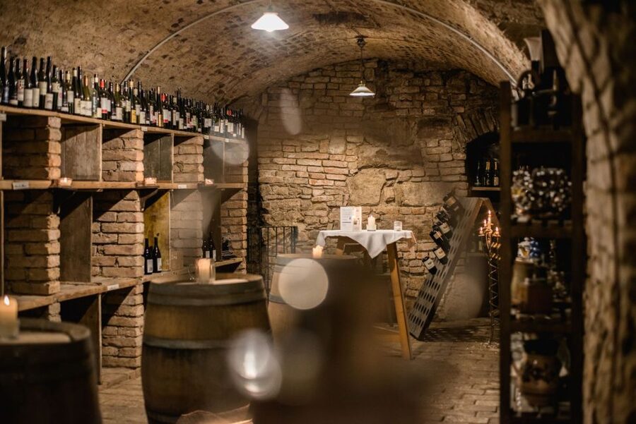 Vienna: Hidden Wine Cellars Tasting Experience - Key highlights worth planning around