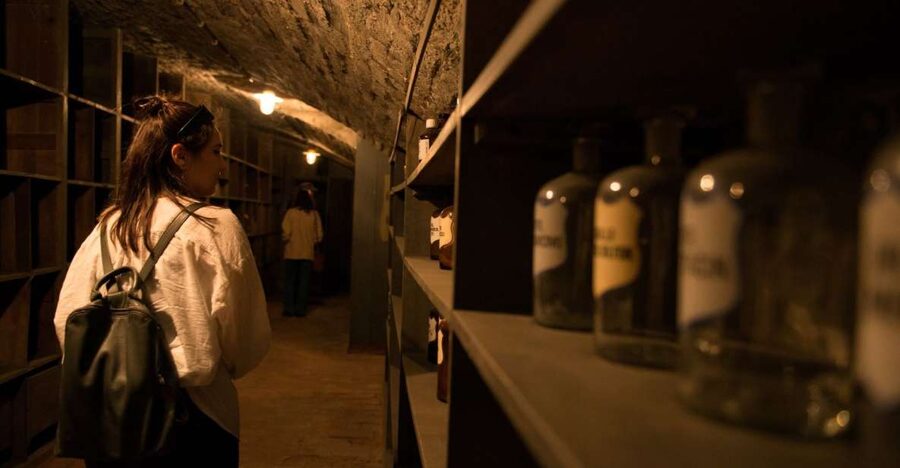 Vienna: Historical Pharmacy Cellar Guided Tour - The Descent: Corridors, Shafts, and Hidden Cellars Under Vienna