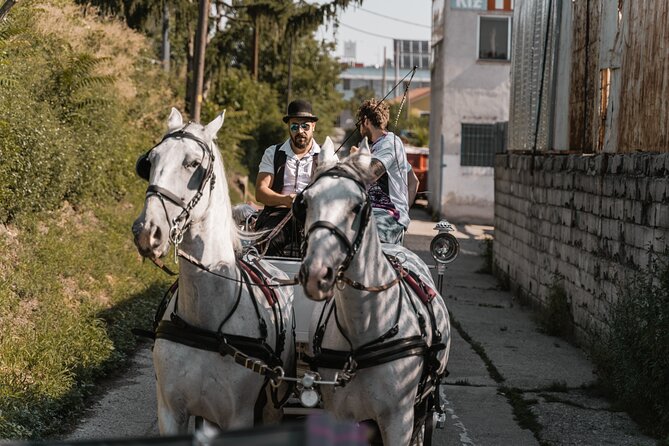 Vienna Horse-drawn Carriage Guided Tour - The ride into the city: suburbs first, then Vienna’s big names