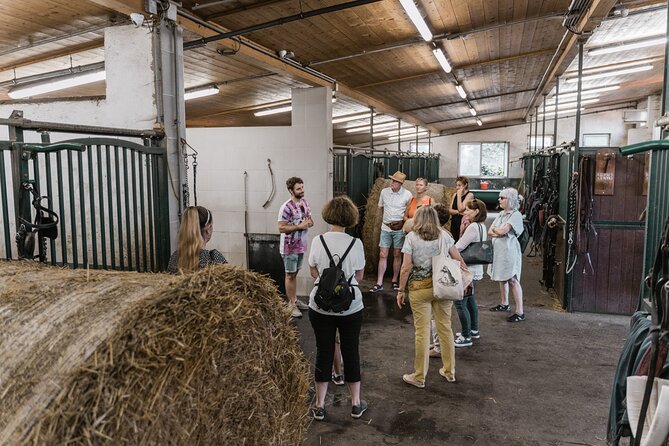 Vienna Horse-drawn Carriage Guided Tour - Timing and logistics that help you plan your day