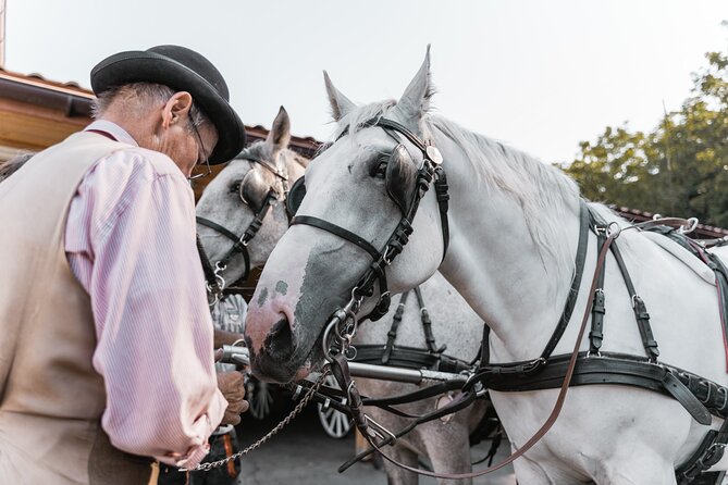 Vienna Horse-drawn Carriage Guided Tour - Comfort, families, and what to pack for horse time